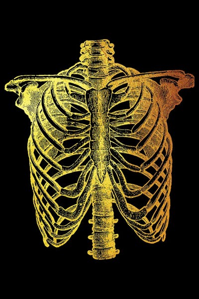 Ribs III by Gab Fernando canvas print