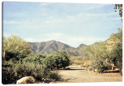 Desert Path Canvas Art Print