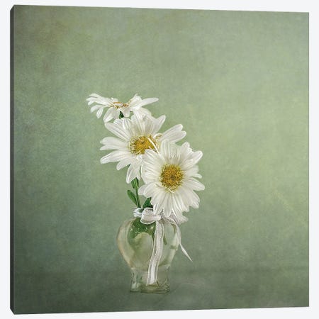 3 White Daisies Canvas Print #GGR1} by Gaille Gray Canvas Wall Art
