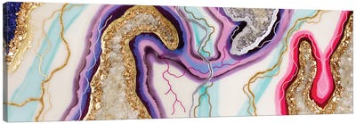Semilla Del Éxito Canvas Art Print - Agate, Geode & Mineral Art