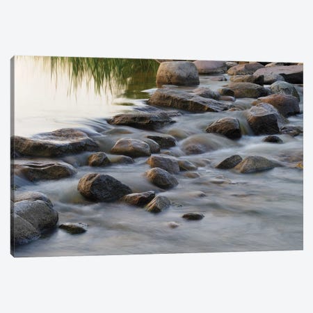 Headwaters of the Mississippi River, Itasca, Minnesota Canvas Print #GHA3} by Gayle Harper Art Print