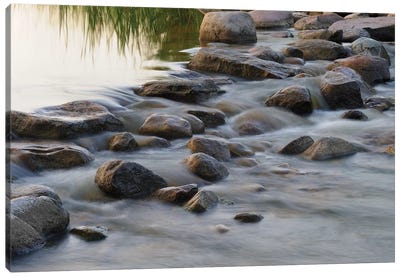 Headwaters of the Mississippi River, Itasca, Minnesota Canvas Art Print