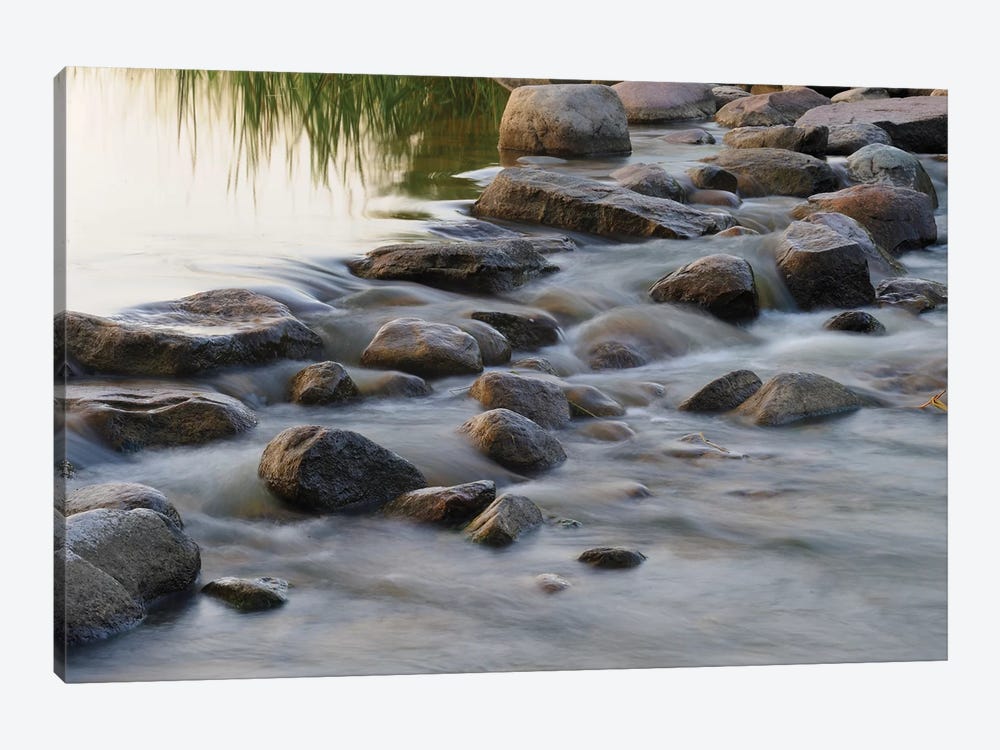 Headwaters of the Mississippi River, Itasca, Minnesota by Gayle Harper 1-piece Canvas Art