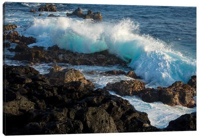 Huge waves crashing against lava rocks on coast of Big Island, Hawaii Canvas Art Print