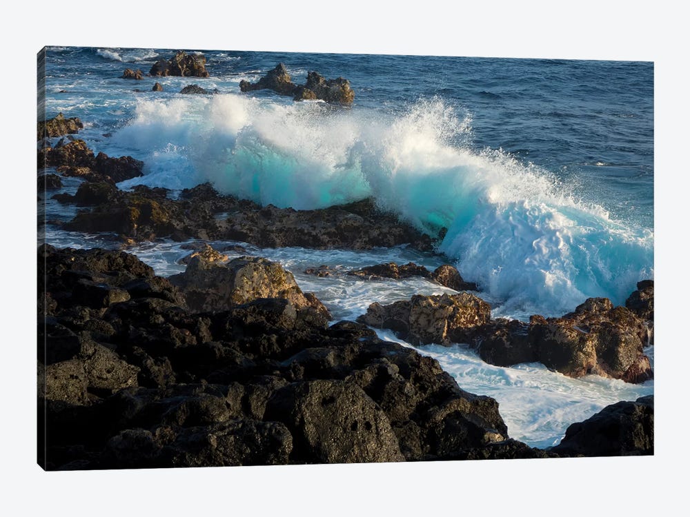 Huge waves crashing against lava rocks on coast of Big Island, Hawaii by Gayle Harper 1-piece Canvas Print