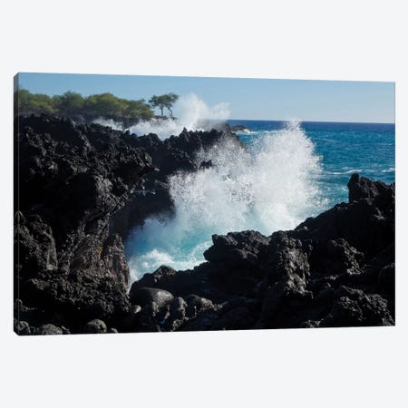 Huge waves crashing against lava rocks on coast of Big Island, Hawaii Canvas Print #GHA5} by Gayle Harper Canvas Artwork