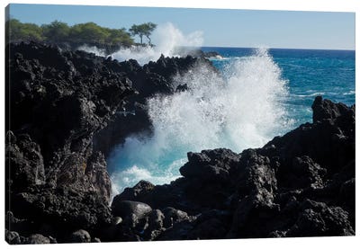 Huge waves crashing against lava rocks on coast of Big Island, Hawaii Canvas Art Print