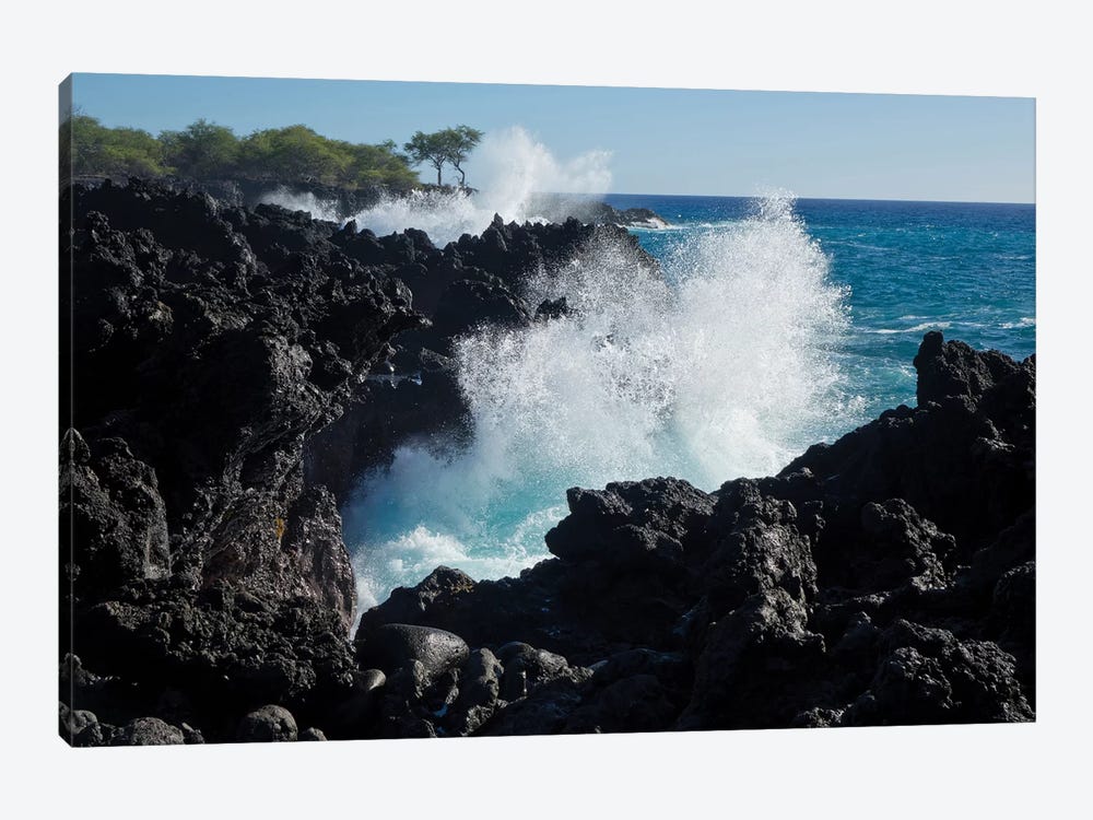 Huge waves crashing against lava rocks on coast of Big Island, Hawaii by Gayle Harper 1-piece Canvas Artwork