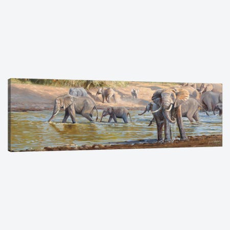 The Crossing Elephants Canvas Print #GHC100} by Grant Hacking Canvas Art Print
