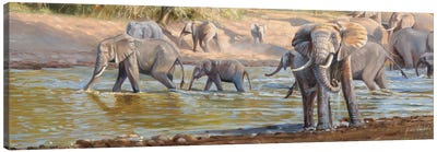 The Crossing Elephants Canvas Art Print - Grant Hacking