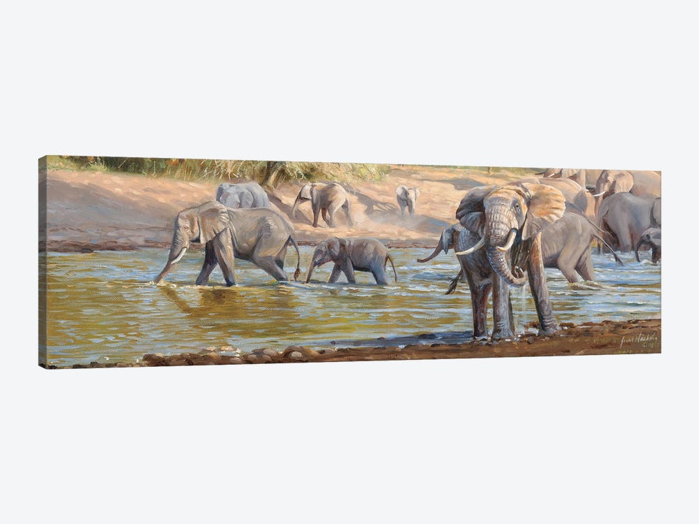The Crossing Elephants by Grant Hacking 1-piece Art Print