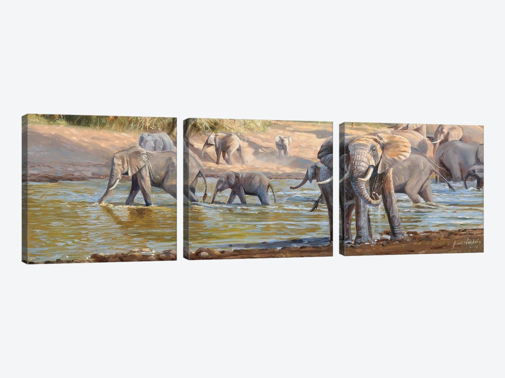 The Crossing Elephants by Grant Hacking 3-piece Canvas Print