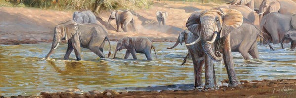Grant Hacking: The Crossing Elephants by Grant Hacking