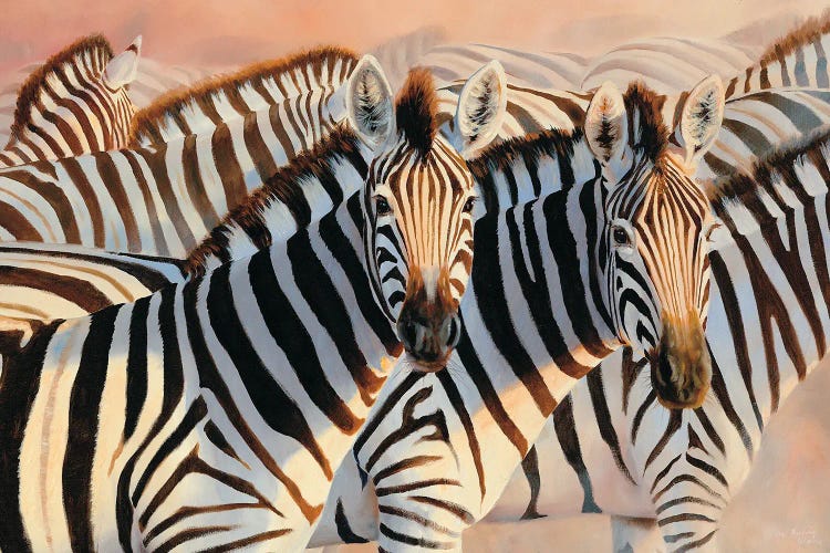 The Glowing Dust Zebras