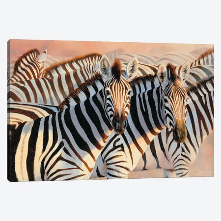 The Glowing Dust Zebras Canvas Print #GHC101} by Grant Hacking Art Print
