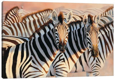 The Glowing Dust Zebras Canvas Art Print - Grant Hacking