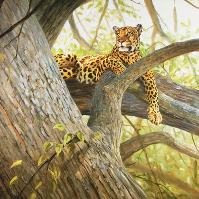 The Great Throne by Grant Hacking framed canvas print