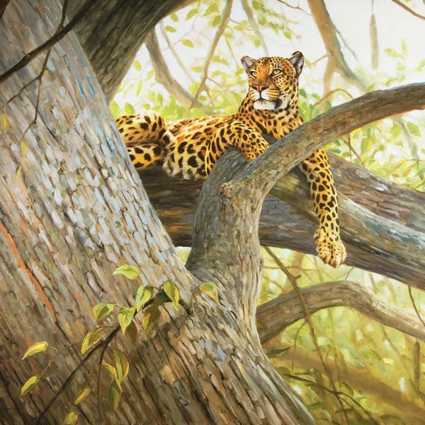 Grant Hacking: The Great Throne by Grant Hacking