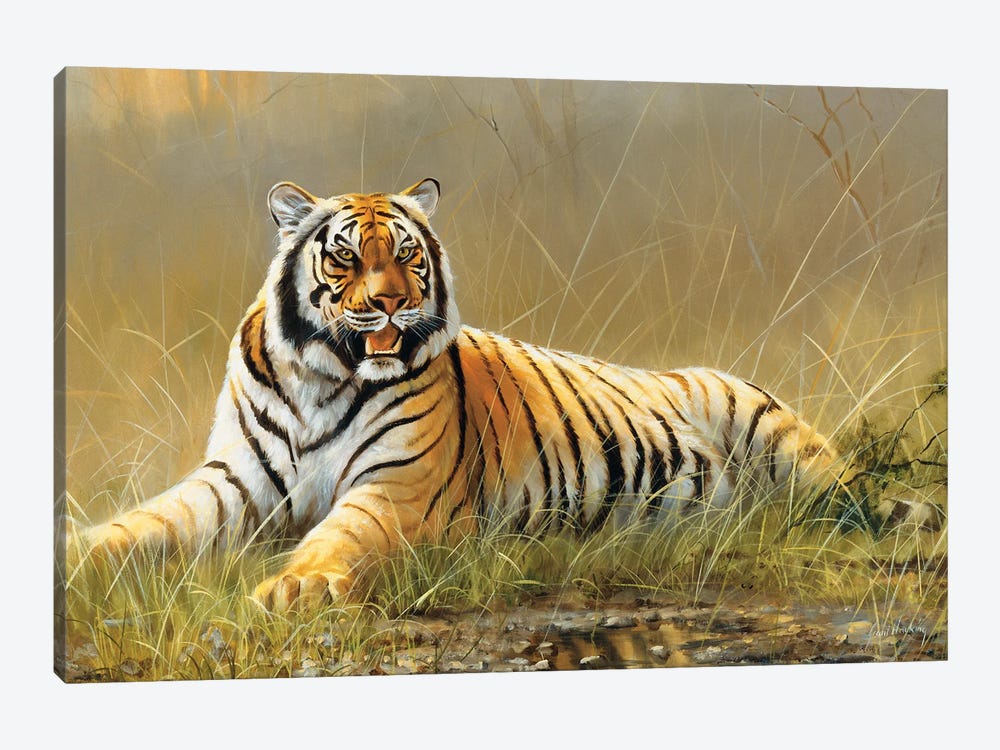 Tiger by Grant Hacking 1-piece Art Print