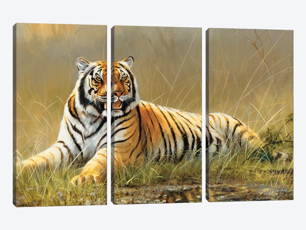 Tiger by Grant Hacking 3-piece Canvas Print