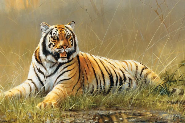 Grant Hacking: Tiger by Grant Hacking