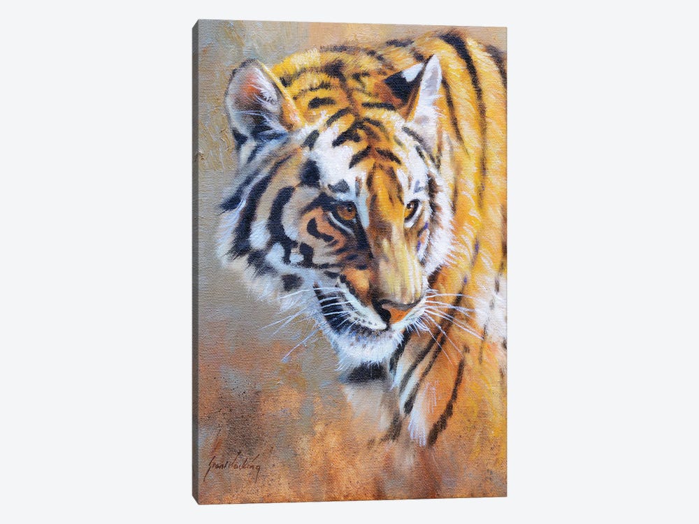 Tiger by Grant Hacking 1-piece Canvas Artwork