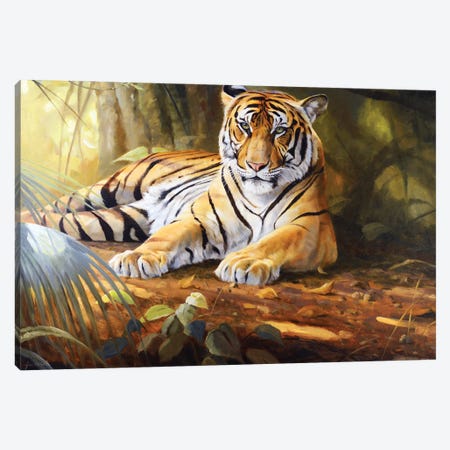 Tiger Canvas Print #GHC106} by Grant Hacking Canvas Art