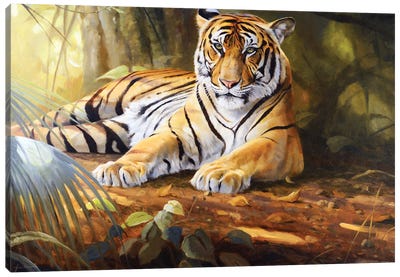 Tiger Canvas Art Print - Grant Hacking