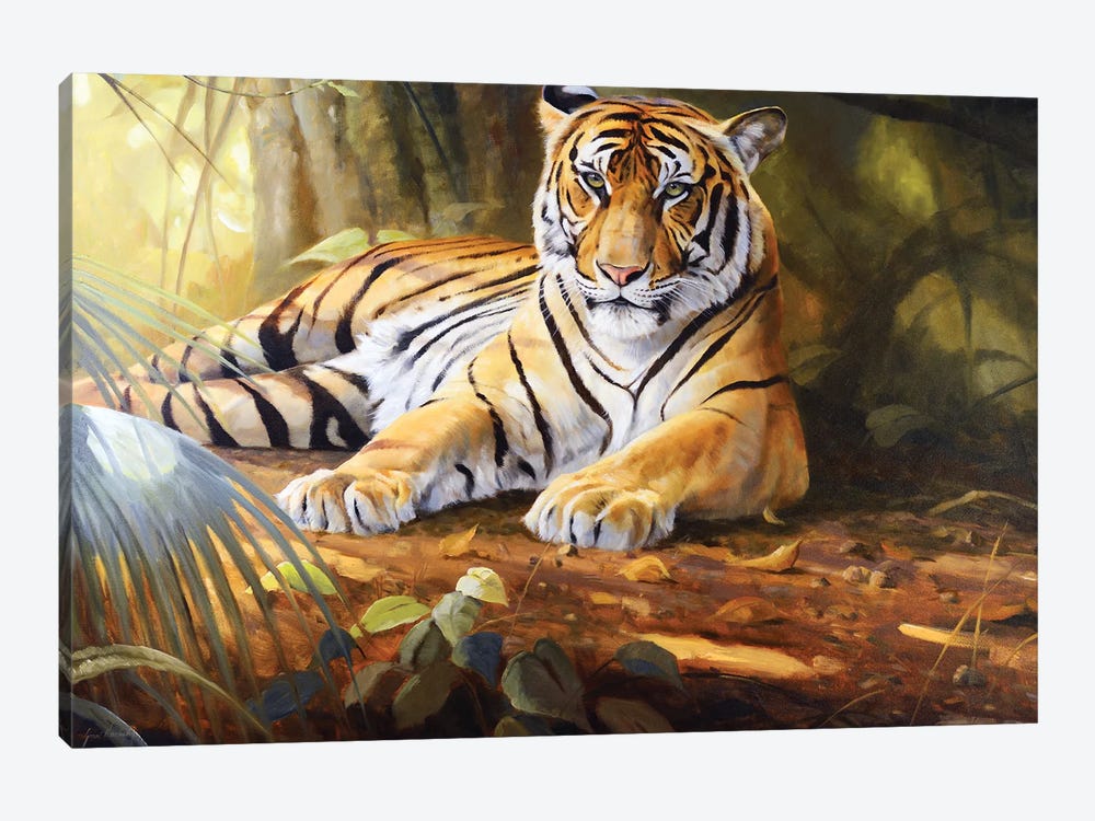Tiger by Grant Hacking 1-piece Canvas Art Print