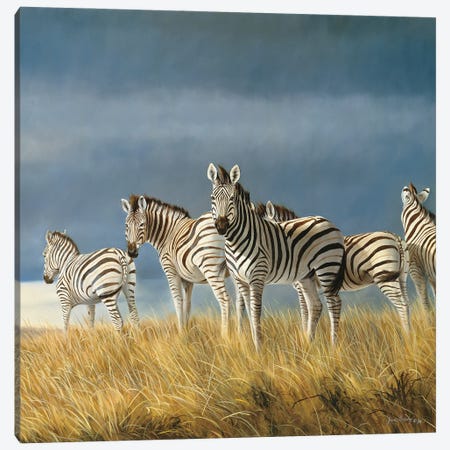 Time To Leave Zebras Canvas Print #GHC107} by Grant Hacking Canvas Artwork
