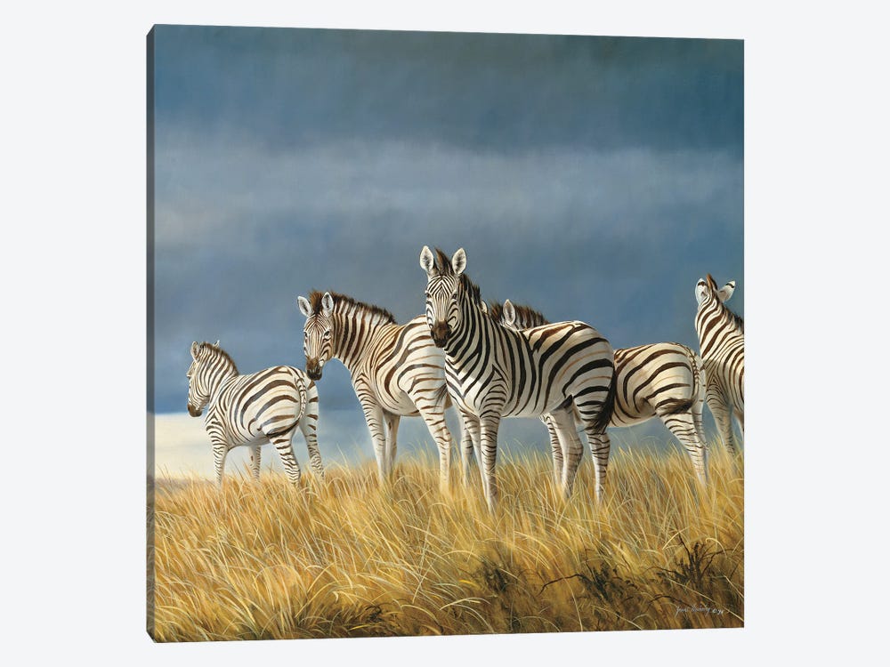 Time To Leave Zebras by Grant Hacking 1-piece Canvas Art