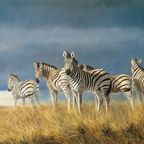 Grant Hacking: Time To Leave Zebras by Grant Hacking