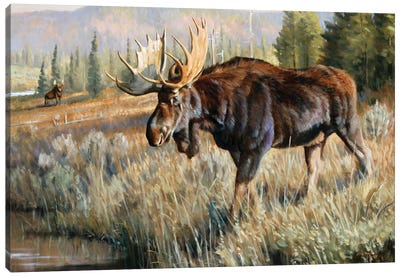 Trouble Brewing Canvas Art Print - Moose Art