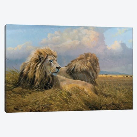 Under African Skies Lions Canvas Print #GHC109} by Grant Hacking Art Print