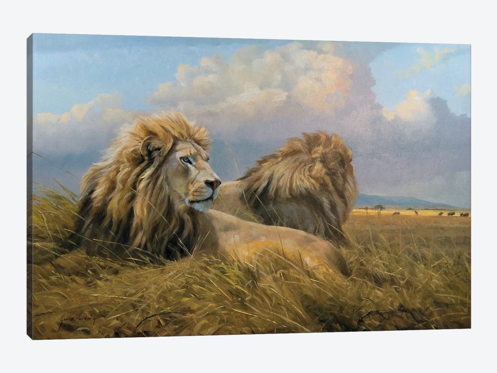 Under African Skies Lions by Grant Hacking 1-piece Canvas Art
