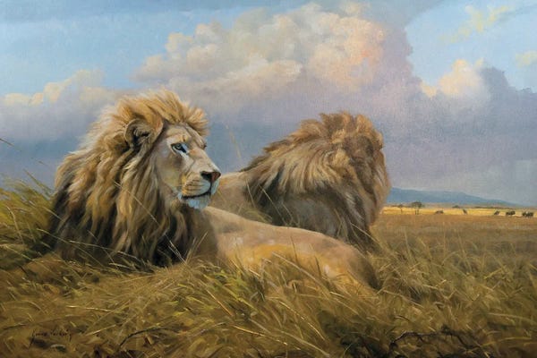Grant Hacking: Under African Skies Lions by Grant Hacking