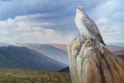 Untamed Land by Grant Hacking framed canvas print