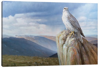 Untamed Land Canvas Art Print - Falcons