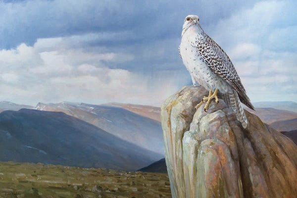 Grant Hacking: Untamed Land by Grant Hacking