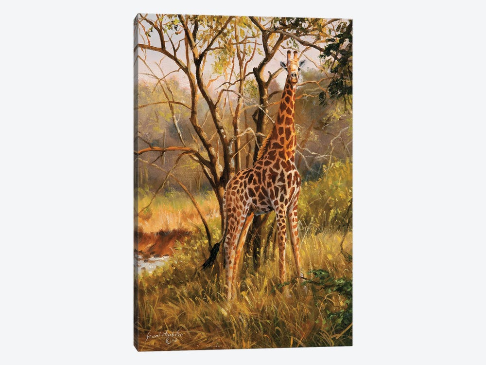 Untitled Giraffe by Grant Hacking 1-piece Canvas Print