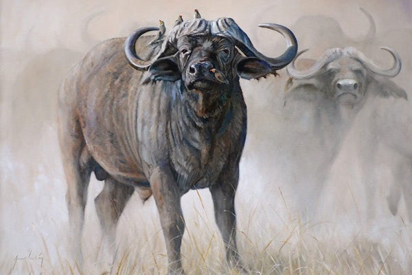 Grant Hacking: Water Buffalo by Grant Hacking
