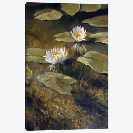 Water Garden Canvas Print #GHC117} by Grant Hacking Canvas Print
