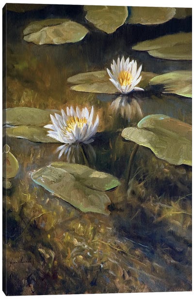 Water Garden Canvas Art Print - Grant Hacking