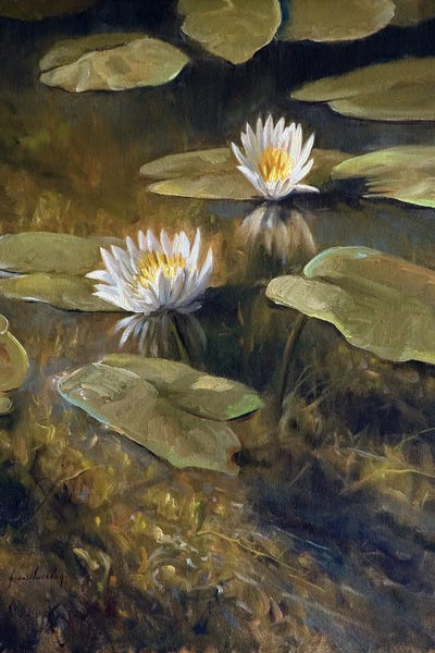 Water Lilies: Water Garden by Grant Hacking