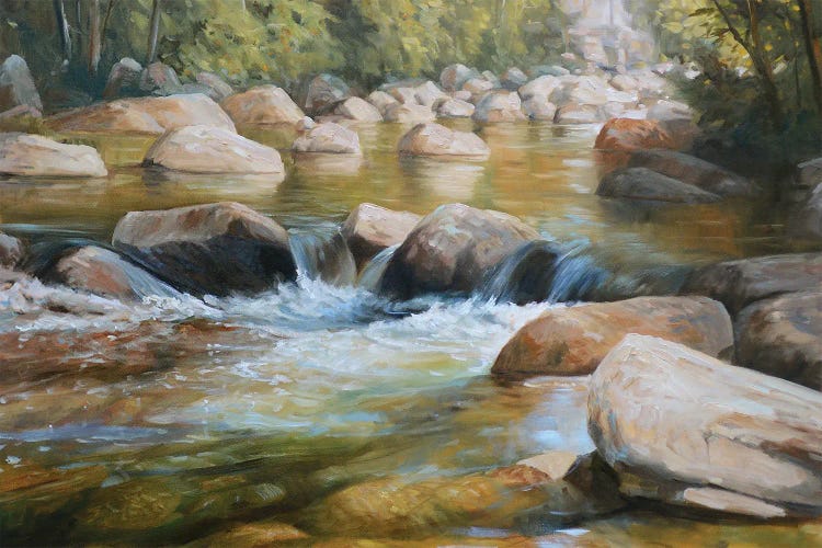 Wildcat River by Grant Hacking wall art