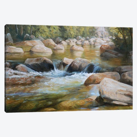 Wildcat River Canvas Print #GHC119} by Grant Hacking Canvas Art
