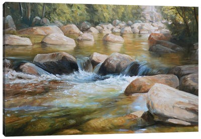 Wildcat River Canvas Art Print - Grant Hacking