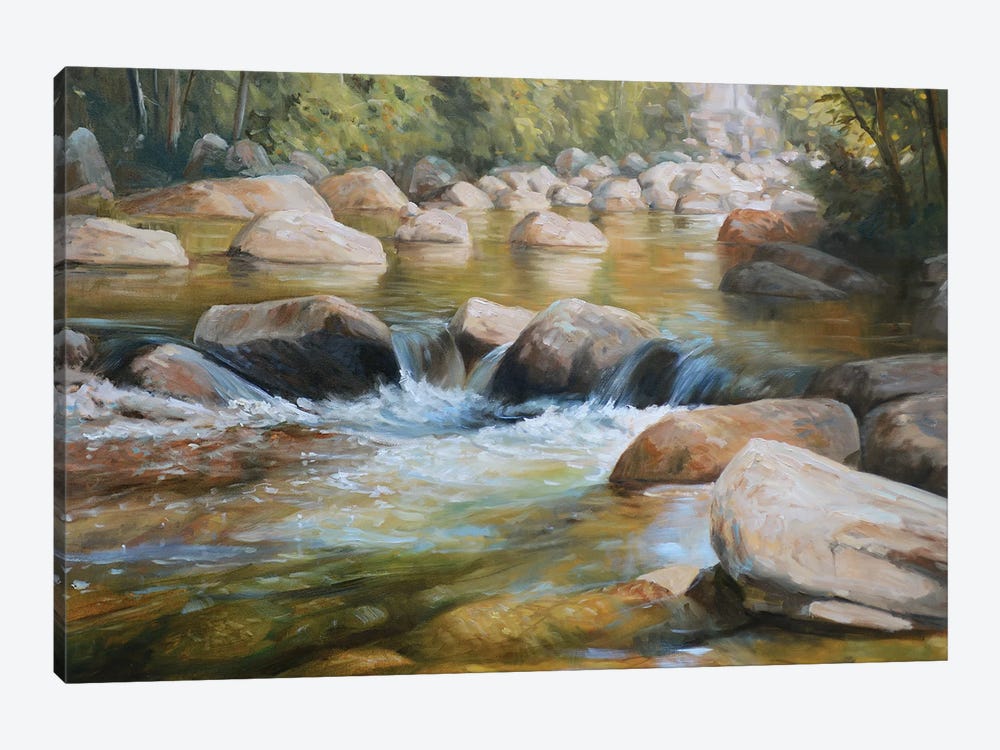 Wildcat River by Grant Hacking 1-piece Canvas Print