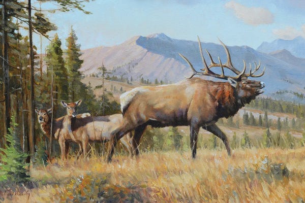 Elk: Answering The Call by Grant Hacking