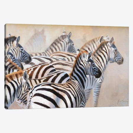 Zebra Canvas Print #GHC120} by Grant Hacking Art Print